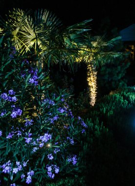 Park sanatsal aydınlatma.