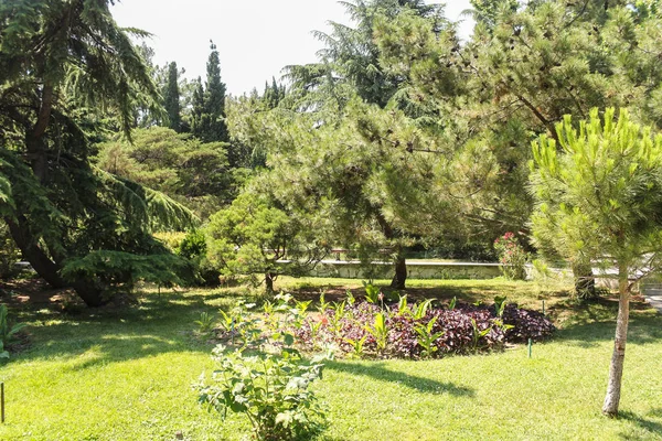 Ağaçlar ve bitkiler Şehir Parkı.