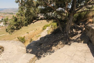 Bir ağacın altında bir yol.