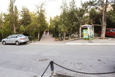 Parkın Golitsyn'ın evim.