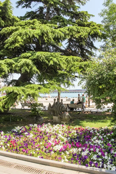 Bir ağacın altında bir çiçek yatak.