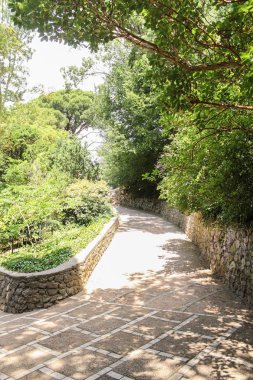 Taş çit ile bir yol.