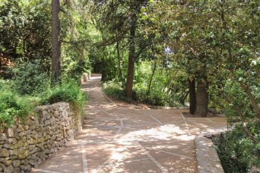 Park yollarının geliştirilmesi.