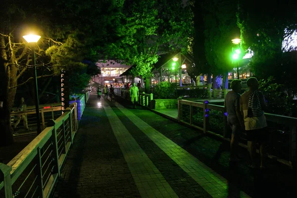 Passeggiata notturna nel parco . — Foto Stock