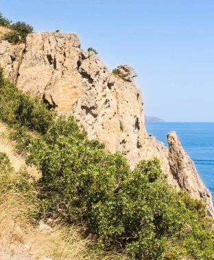 Kayaların yanında bitki örtüsü.