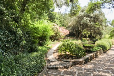 Botanik bahçe yolları.