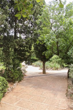 Yolu taşlarla kaplıdır.