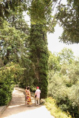 İnsanlar yüksek selvi var.