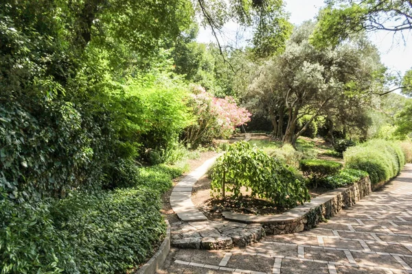 Botanik bahçe yolları.