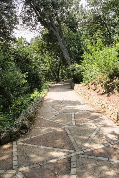 Yol boyunca bitkiler.