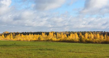 rustik sonbahar manzarası.
