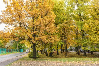 Şehir sonbahar Meydanı.