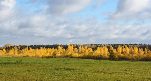 Rustic autumn landscape. — Stock Photo, Image