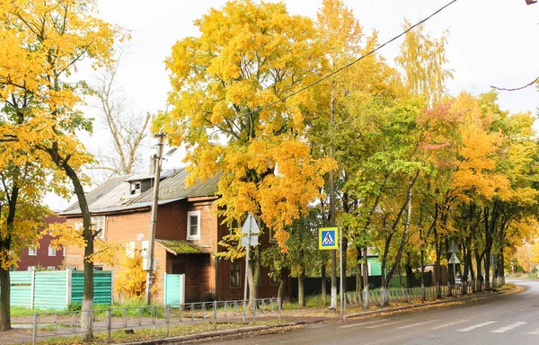 Jesienne drzewa na ulicy Suworowa. — Zdjęcie stockowe