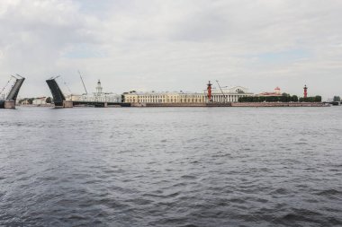 tükürük vasilyevsky Adası