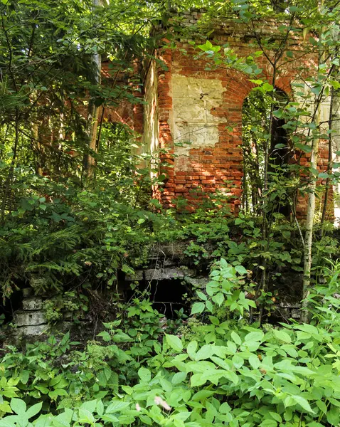 Il monastero è coperto di foresta . — Foto Stock