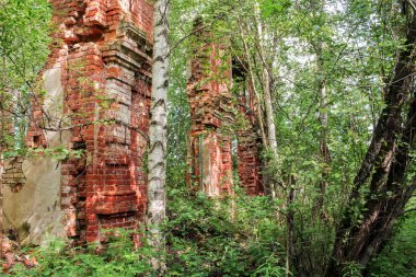 Ormanın içinde manastır antik duvarlar.
