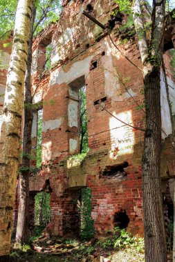 Manastır duvarları ormanda.