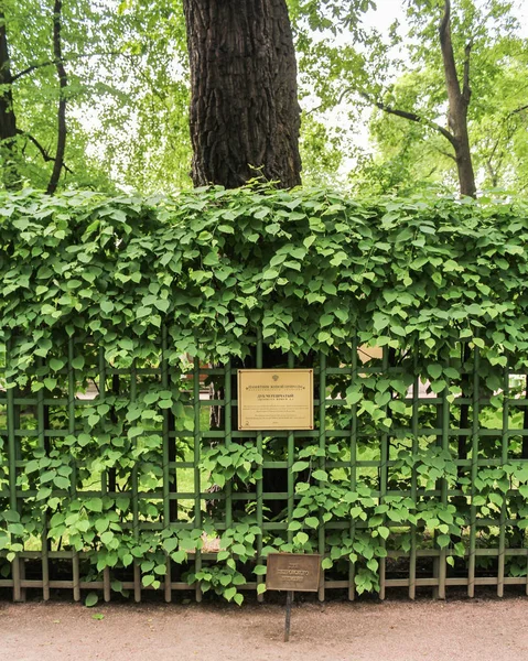 Placa en el enrejado . — Foto de Stock