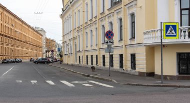 Çaykovski Caddesi üzerinde bir köpek.