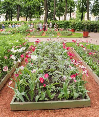 Bahçedeki çiçekler.