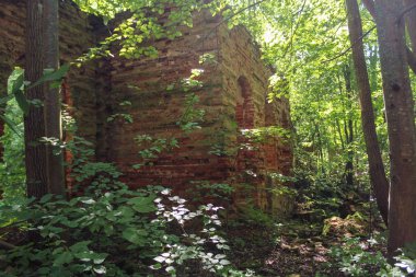 Manastır duvarları ormanda.