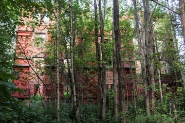 Ağaçların arkasında duvar.