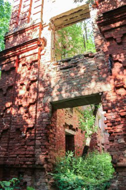 Bas-reliefs eski bir manastır duvarlarında.