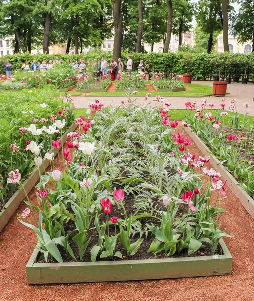 Bahçedeki çiçekler.