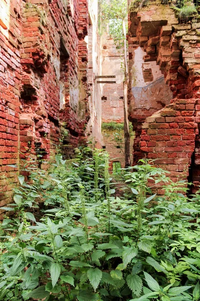 Ruinas de un antiguo monasterio . — Foto de Stock