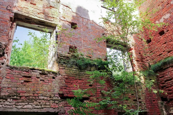 Verwoeste oude muren. — Stockfoto