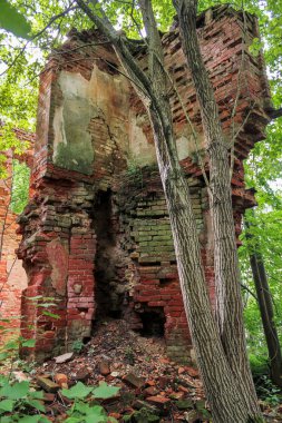 Ormandaki harabeler.