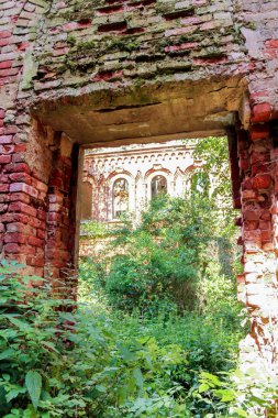 Duvardaki büyümüş geçiş.