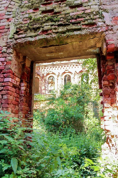 Duvardaki büyümüş geçiş.