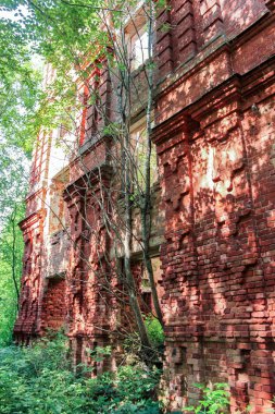 Ormandaki eski manastır.