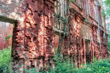 Antik duvar bas-reliefs.