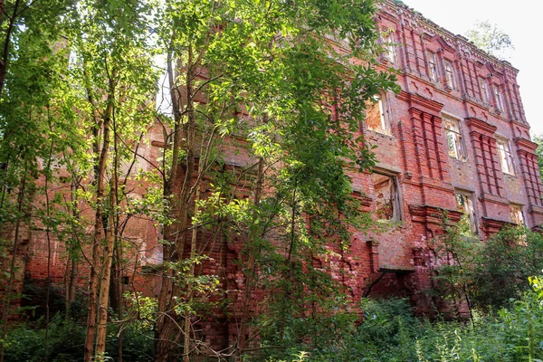 Antiguo monasterio en el bosque . — Foto de Stock