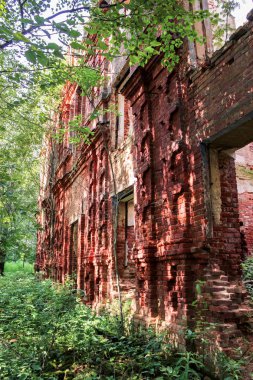 Ormandaki eski duvarlar.