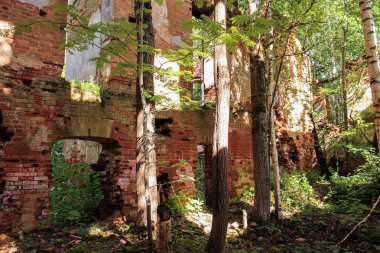 Ağaçların arkasında duvar.