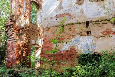 Ormandaki harabeler.