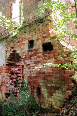 Ormandaki harabeler.