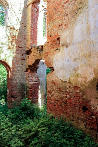 El matorral en el antiguo monasterio . — Foto de Stock