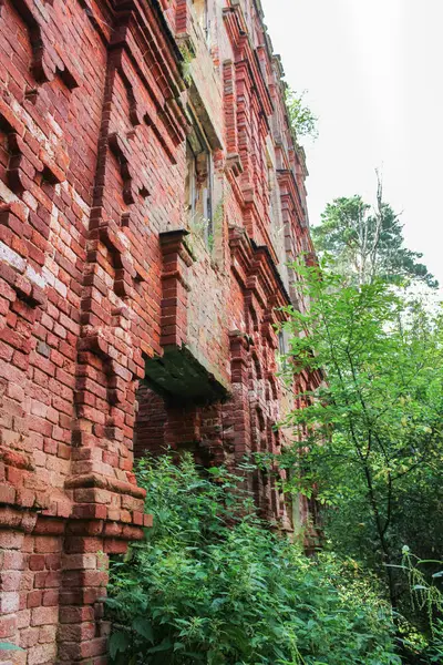 Muro de ladrillo en el bosque . — Foto de Stock