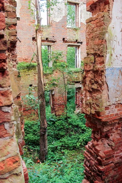 Onregelmatige randen van oude muren. — Stockfoto