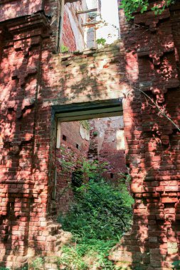 Ormandaki harabeler.