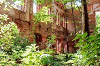 duvarında bir çatlak.