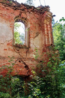 Ormandaki eski duvarlar.