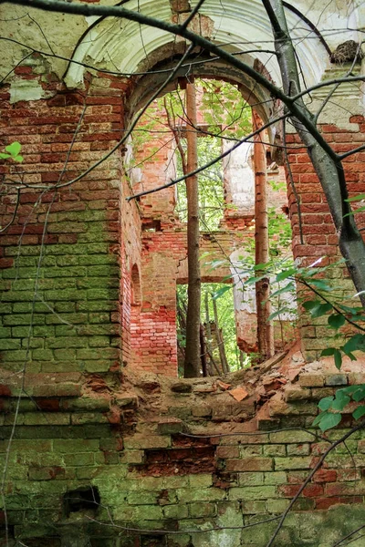 Ruïnes in het bos. — Stockfoto