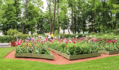 Çiçekli büyük ridge.