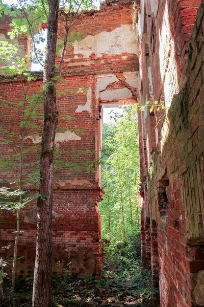 eski bir manastır kalıntıları.